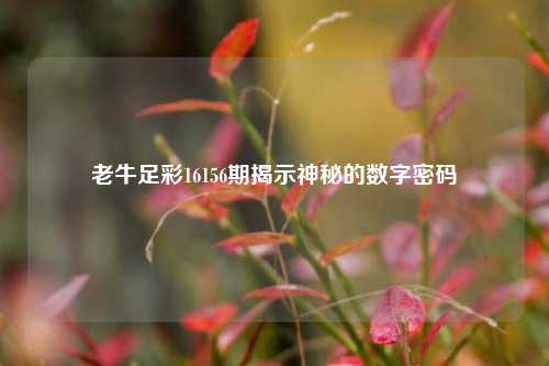 老牛足彩16156期揭示神秘的数字密码