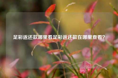 足彩返还款哪里看足彩返还款在哪里查看？