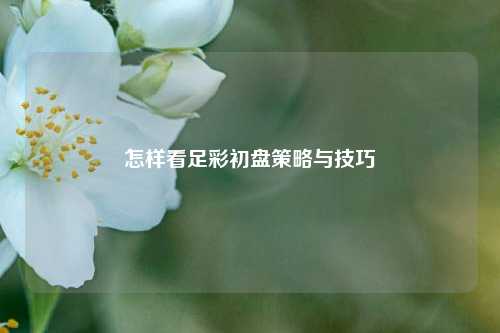 怎样看足彩初盘策略与技巧