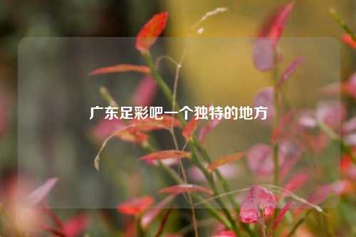 广东足彩吧一个独特的地方