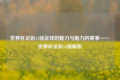 世界杯足彩14场足球的魅力与魅力的赛事——世界杯足彩14场解析