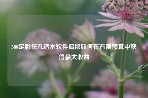 500足彩任九缩水软件揭秘如何在有限预算中获得最大收益