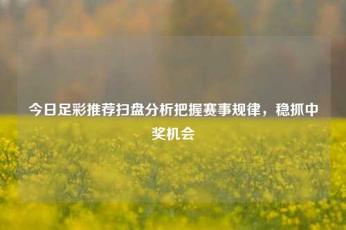今日足彩推荐扫盘分析把握赛事规律，稳抓中奖机会