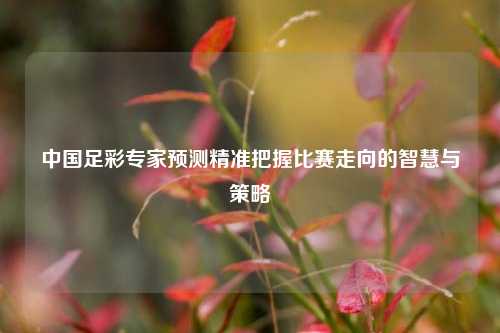 中国足彩专家预测精准把握比赛走向的智慧与策略