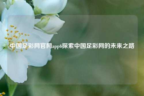 中国足彩网官网app6探索中国足彩网的未来之路