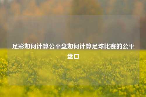 足彩如何计算公平盘如何计算足球比赛的公平盘口