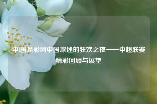 中l国足彩网中国球迷的狂欢之夜——中超联赛精彩回顾与展望