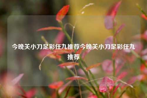 今晚关小刀足彩任九推荐今晚关小刀足彩任九推荐