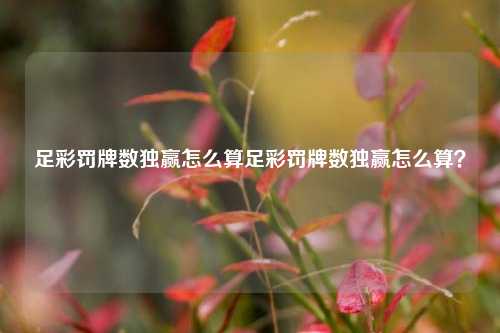 足彩罚牌数独赢怎么算足彩罚牌数独赢怎么算？