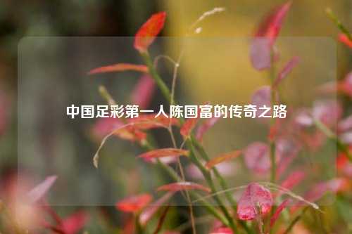 中国足彩第一人陈国富的传奇之路